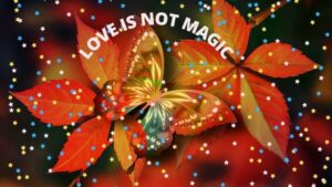 Love is not an illusion, it’s real 5 LOVE IS NOT AN ILLUSION