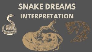 Biblical Meaning of Dreaming of a Snake 2 Biblical meaning of snake dreams, Snake dreams interpretation