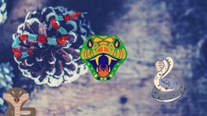 Dreaming of a snake biting you 6 A greenish yellow head of a poisonous snake