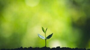 How should Christians respond to climate change? 8 How should Christians respond to climate change?