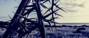 Biblical Meaning of Thorns in Dreams 6 Dreaming of Thorns
