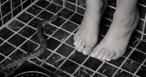 Dreaming of a Snake in Your Bathroom: 14 Biblical Meaning 5 Dreaming of a Snake in Your Bathroom Biblical Meaning
