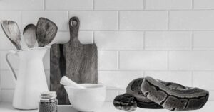 Dreaming of a Snake in Your Kitchen: 9 Biblical Meaning 5 Dreaming of a Snake in Your Kitchen Biblical Meaning
