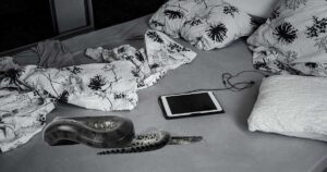 Biblical Meaning of Dreaming of a Snake on Your Bed 2 Biblical Meaning of Dreaming of a Snake on Your Bed