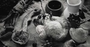 Biblical Meaning of Dreaming of Visiting a Witch Doctor 6 Biblical Meaning of Dreaming of Visiting a Witch Doctor